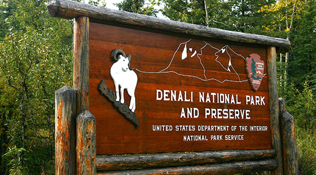 Denali National Park